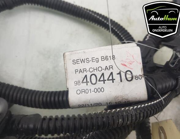 Sensor für Einparkhilfe Citroen C3 III SX 9800210677XT P20548135