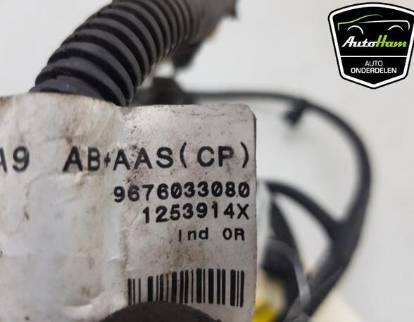 Sensor für Einparkhilfe Peugeot 208 I CA, CC 9676033080 P20930487