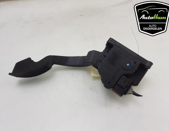 Accelerator pedal ALFA ROMEO MITO (955_), FIAT GRANDE PUNTO (199_), FIAT PUNTO EVO (199_), OPEL CORSA D (S07)