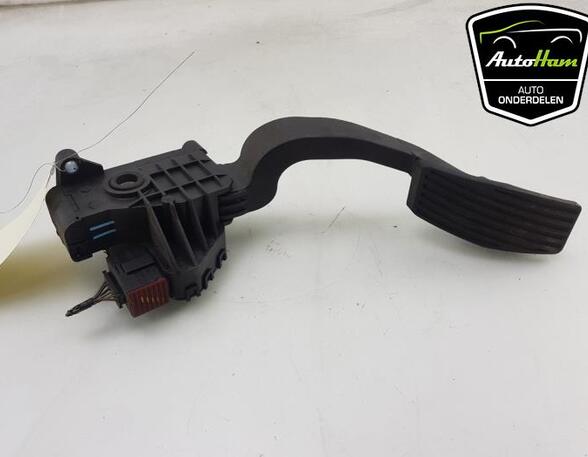 Accelerator pedal ALFA ROMEO MITO (955_), FIAT GRANDE PUNTO (199_), FIAT PUNTO EVO (199_), OPEL CORSA D (S07)