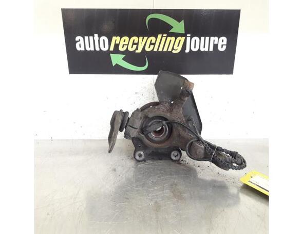 Stub Axle RENAULT Twingo II (CN0)