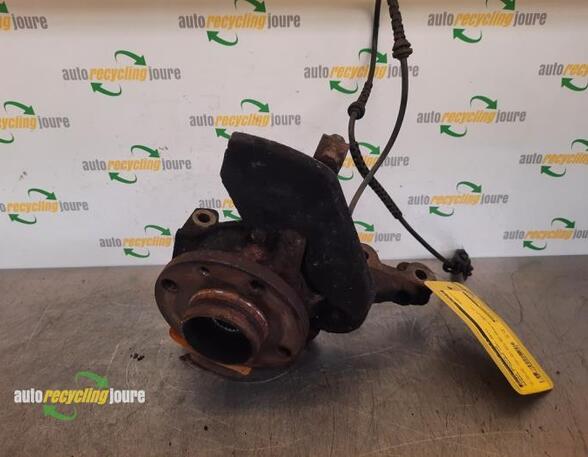 Stub Axle RENAULT Twingo II (CN0)