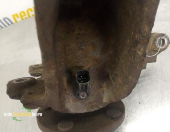 Stub Axle FORD Focus C-Max (--), FORD C-Max (DM2)