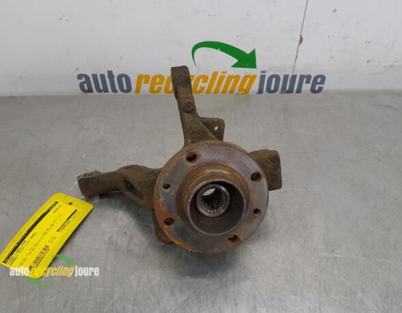 Stub Axle RENAULT Clio III (BR0/1, CR0/1)