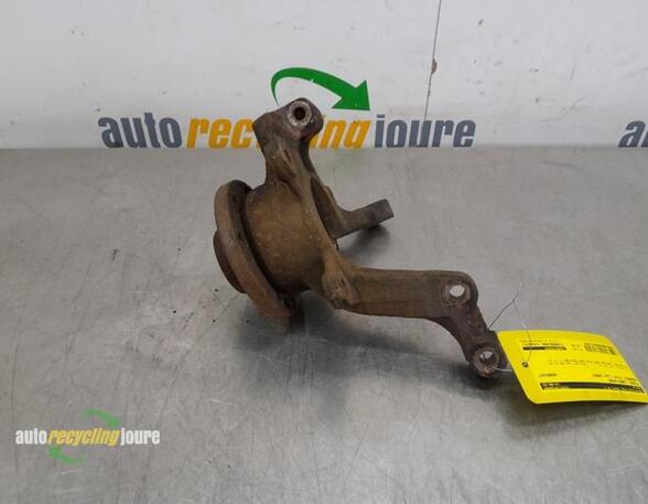 Stub Axle RENAULT Clio III (BR0/1, CR0/1)