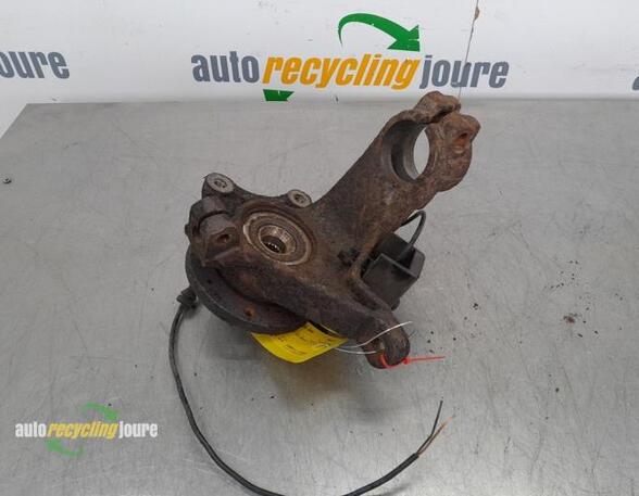 Stub Axle PEUGEOT 206+ (2L_, 2M_)