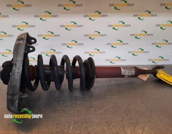 Suspension Strut AUDI A4 Avant (8E5, B6), AUDI A4 Avant (8ED, B7)