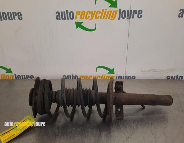 Suspension Strut RENAULT Megane II (BM0/1, CM0/1)