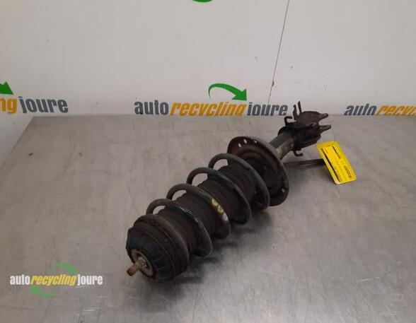 Suspension Strut FIAT Grande Punto (199), FIAT Punto (199), FIAT Punto Evo (199)