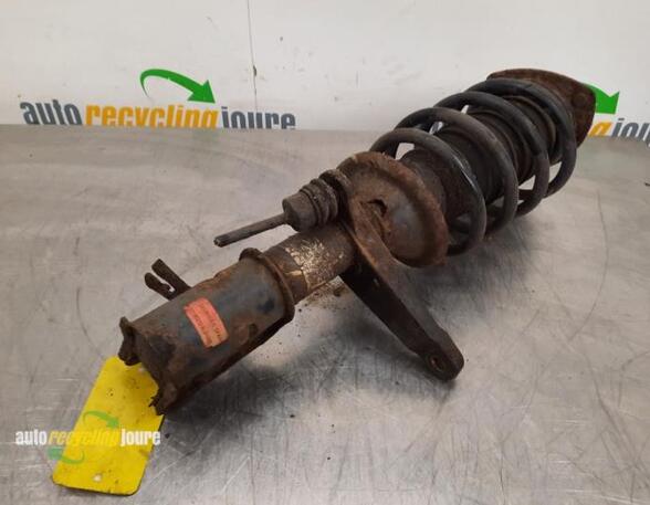 Suspension Strut LAND ROVER Freelander (LN)