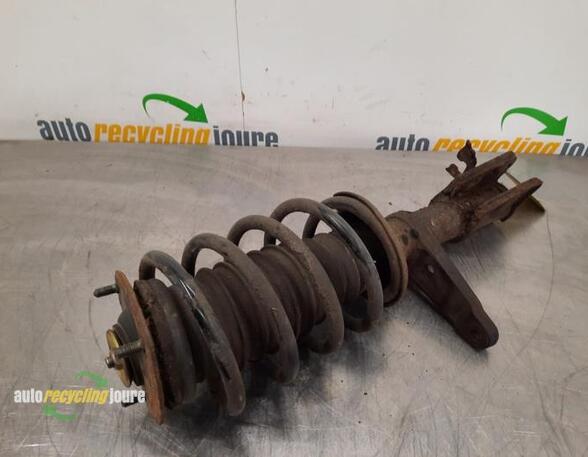 Suspension Strut LAND ROVER Freelander (LN)