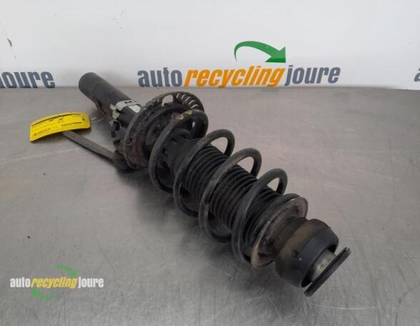 Suspension Strut SKODA FABIA II Combi (545), SKODA ROOMSTER Praktik (5J)