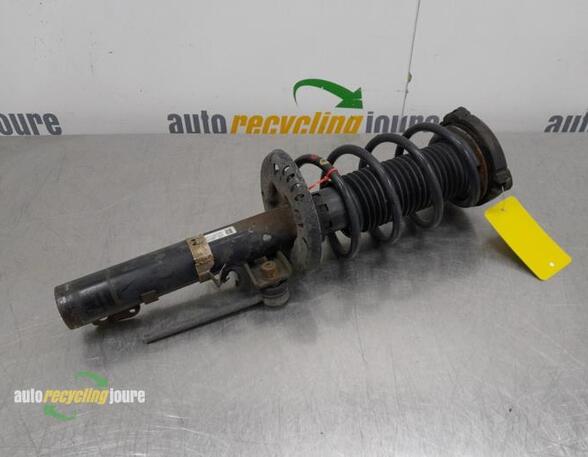 Suspension Strut SKODA Roomster (5J)