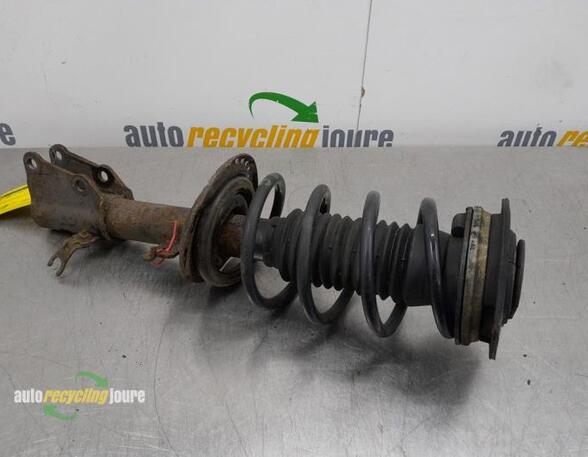 Suspension Strut RENAULT KANGOO Express (FW0/1_)