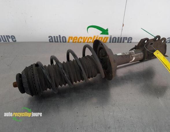 Suspension Strut FIAT Grande Punto (199), FIAT Punto Evo (199), FIAT Punto (199)