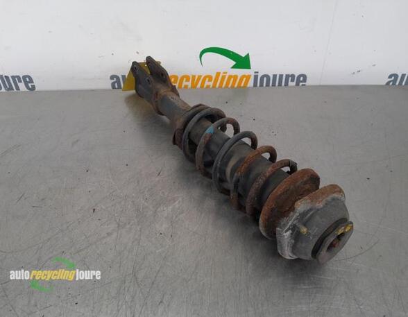 Suspension Strut SUZUKI ALTO (FF)