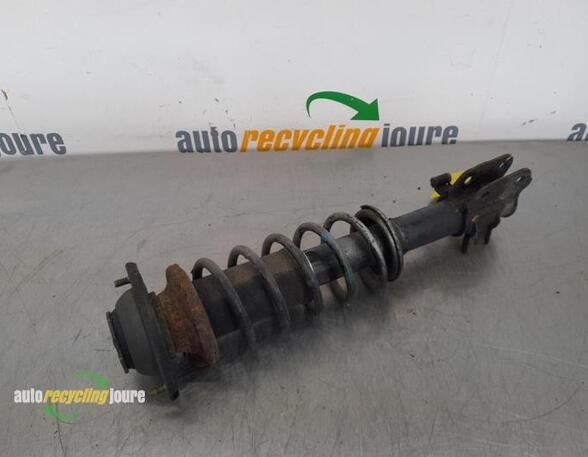 Suspension Strut SUZUKI ALTO (FF)