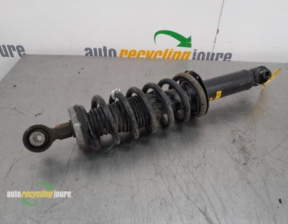 Suspension Strut CITROËN C5 III Break (RW_)