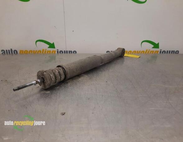 Shock Absorber RENAULT Twingo II (CN0)