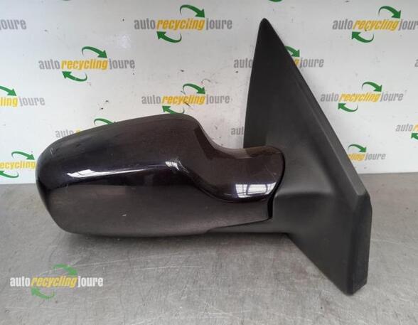 Wing (Door) Mirror RENAULT Clio III (BR0/1, CR0/1)