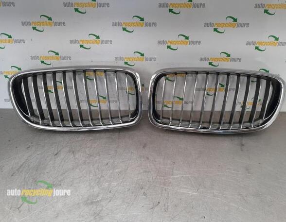 Radiateurgrille BMW 6 Convertible (E64), BMW 6 (E63)