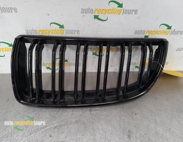 Radiator Grille BMW 3 Touring (E91)