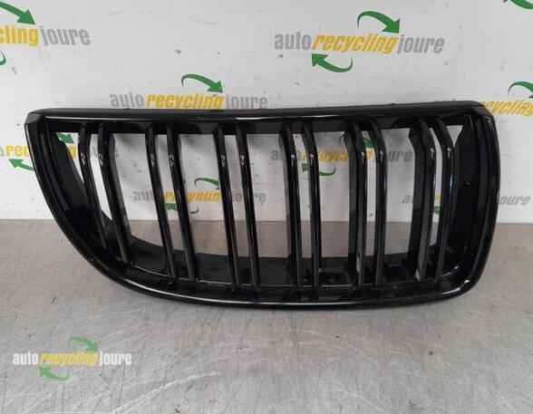 Radiator Grille BMW 3 Touring (E91)