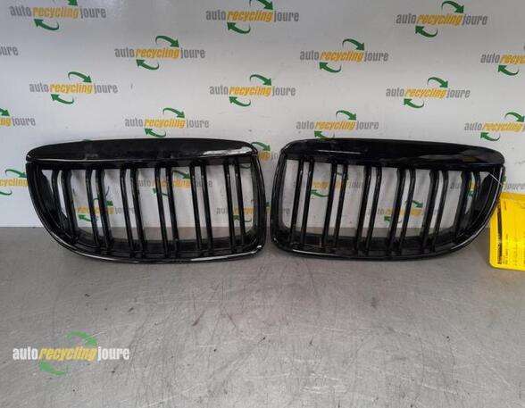 Radiator Grille BMW 3 Touring (E91)