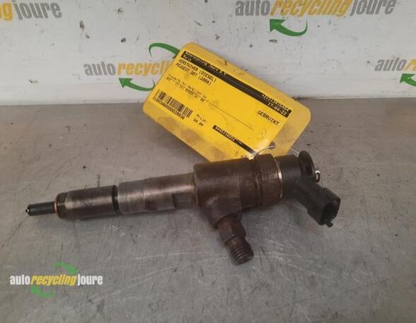 Injector Nozzle PEUGEOT 207 (WA, WC)