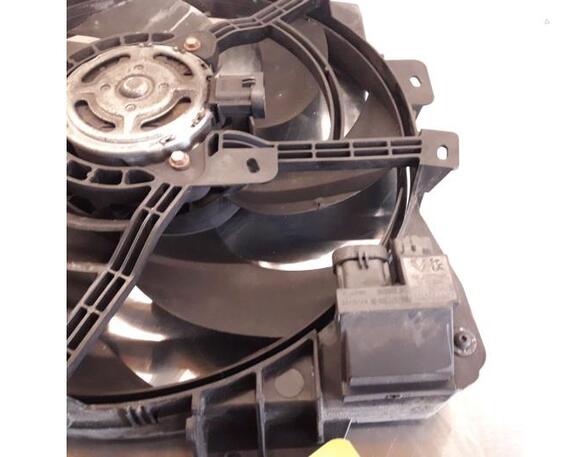 Radiator Electric Fan  Motor PEUGEOT 207 (WA_, WC_)