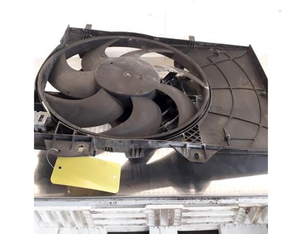 Radiator Electric Fan  Motor PEUGEOT 207 (WA_, WC_)