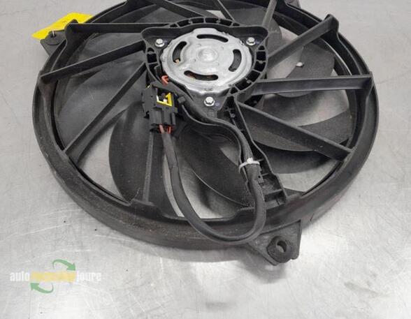 Radiator Electric Fan  Motor PEUGEOT 206 SW (2E/K)