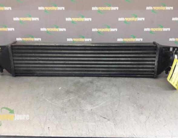 Intercooler LANCIA Delta III (844)