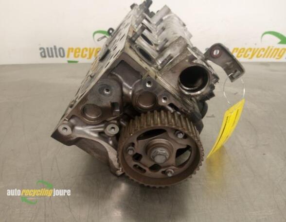 Cylinder Head RENAULT KANGOO Express (FW0/1_)