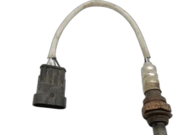 Lambda Sensor / NOx Sensor FIAT PANDA (169_), FIAT PANDA Hatchback Van (169_), FIAT PANDA Hatchback Van (141_)