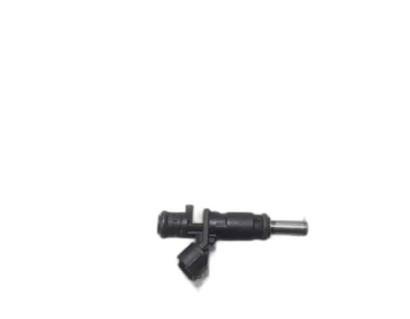 Injector Nozzle CITROËN C3 PICASSO (SH_)