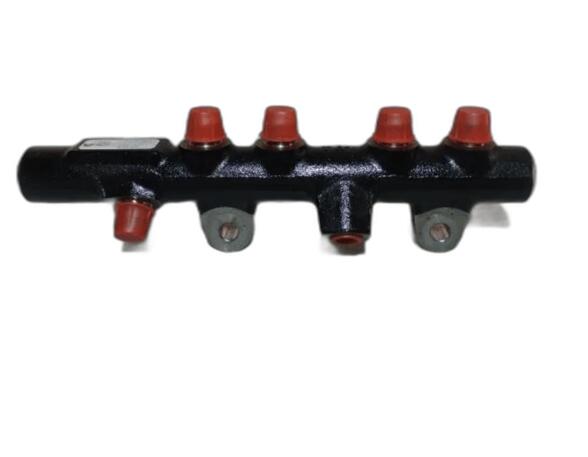 Petrol Fuel Rail RENAULT KANGOO Express (FW0/1_)