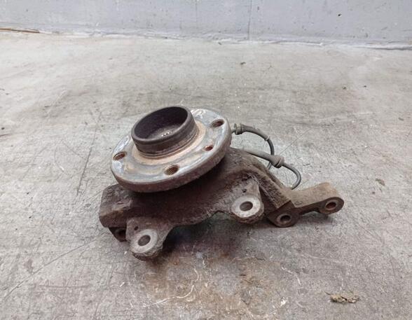 Stub Axle RENAULT CLIO III (BR0/1, CR0/1), RENAULT CLIO IV (BH_)