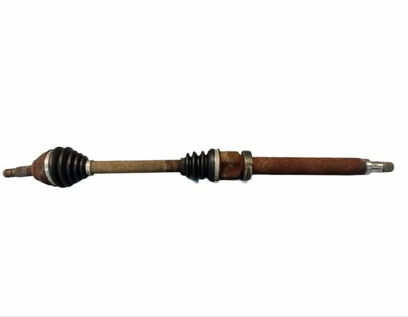 Drive Shaft FORD Focus (DAW, DBW)