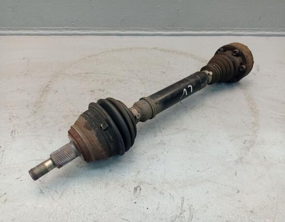 Drive Shaft VW Golf IV (1J1)