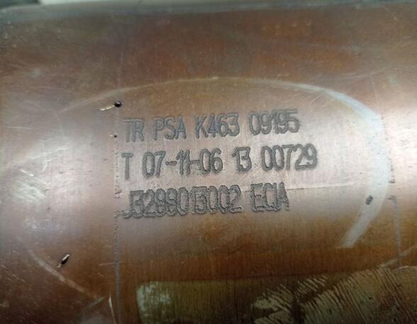 Catalytic Converter PEUGEOT 207 (WA, WC)