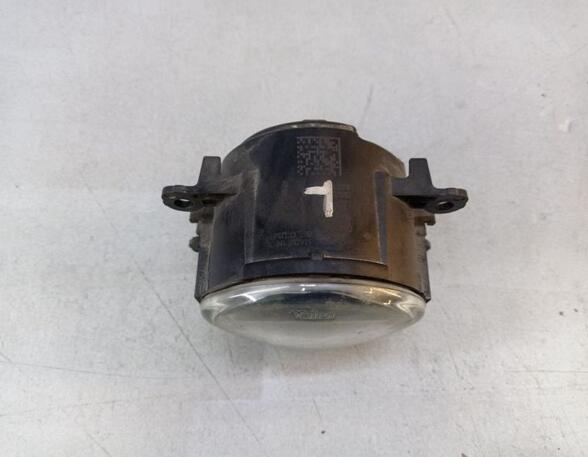 Fog Light PORSCHE CAYENNE (92A)