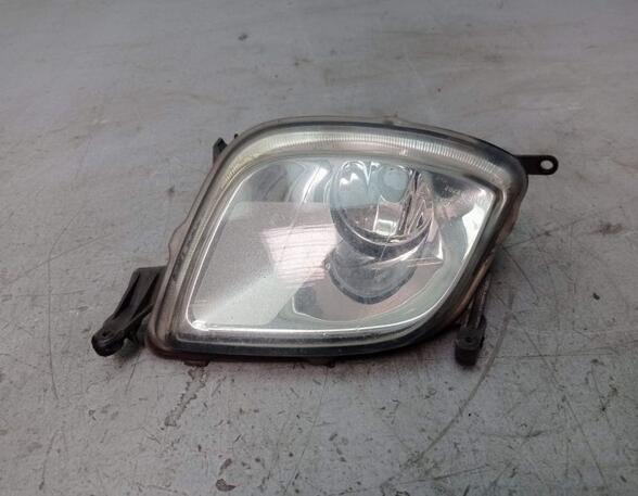 Fog Light PORSCHE CAYENNE (9PA)