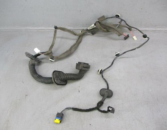 Door Wiring Harness RENAULT Megane III Coupe (DZ0/1)