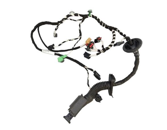 Door Wiring Harness VW Tiguan (AD1, AX1), VW Tiguan Allspace (BW2)