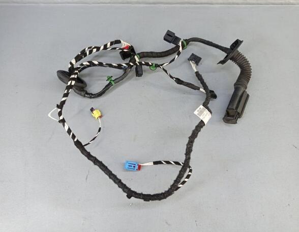 Door Wiring Harness VW Tiguan (AD1, AX1), VW Tiguan Allspace (BW2)