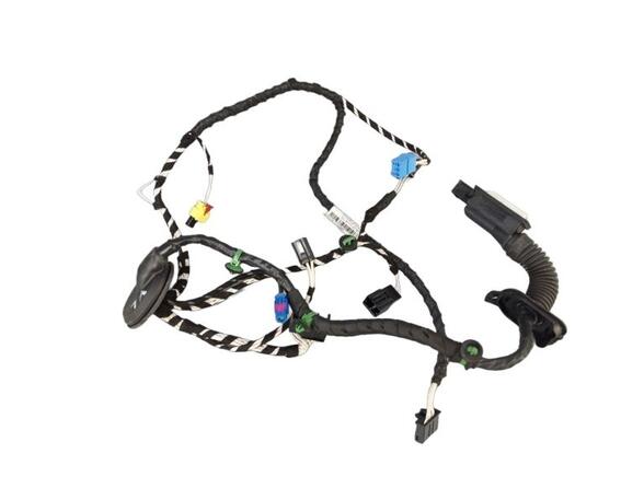 Door Wiring Harness VW Tiguan (AD1, AX1), VW Tiguan Allspace (BW2)