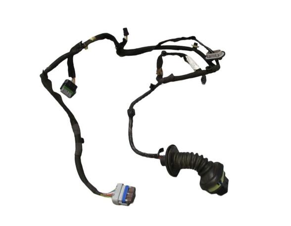 Door Wiring Harness PEUGEOT 5008 (0U_, 0E_)