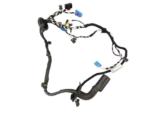 Door Wiring Harness VW TIGUAN (AD1, AX1), VW TIGUAN ALLSPACE (BW2)