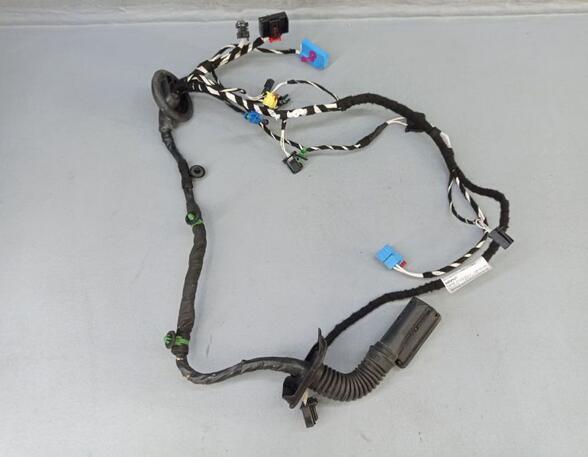 Door Wiring Harness VW TIGUAN (AD1, AX1), VW TIGUAN ALLSPACE (BW2)